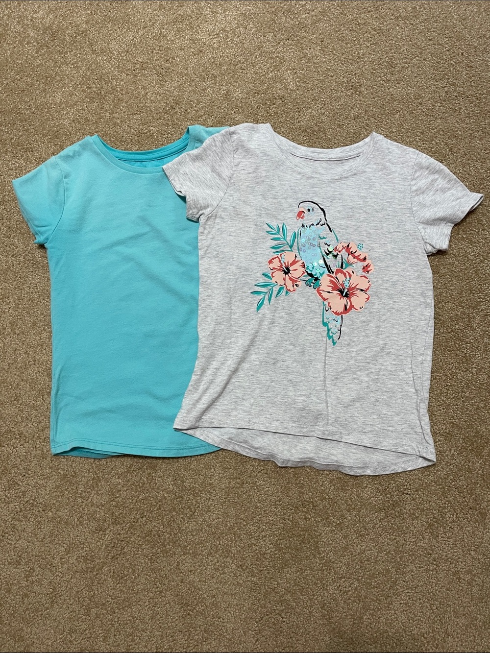 Girls' Parrot Graphic Short Sleeve Tee & Aqua Crewneck Top, size 7/8